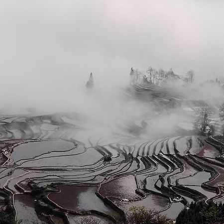 元阳县 元阳水云间客栈旅舍 外观 照片